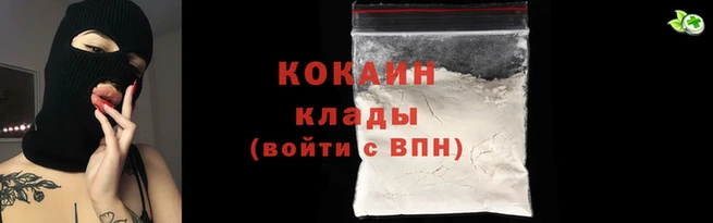 кокс Богородицк