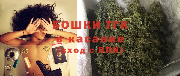 МДПВ Богородск