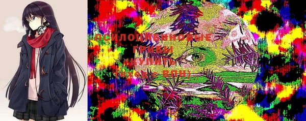 мескалин Белокуриха