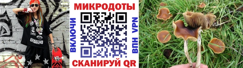Псилоцибиновые грибы MAGIC MUSHROOMS  хочу наркоту  Видное 